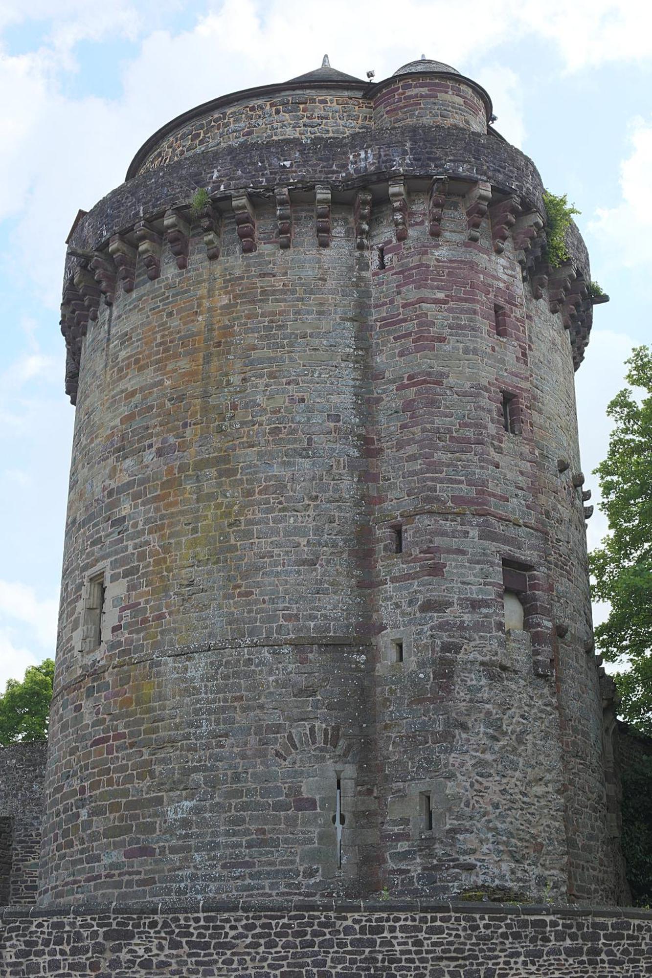 Le Manoir De La Cane Montfort-sur-Meu Dış mekan fotoğraf